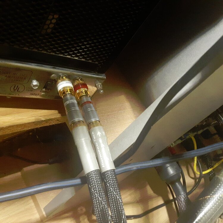 160224663_277557010623802_5559264693623803411_n.jpg
