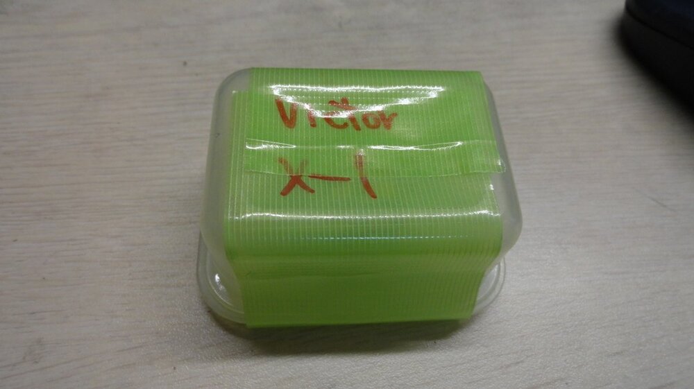 DSC05526.JPG