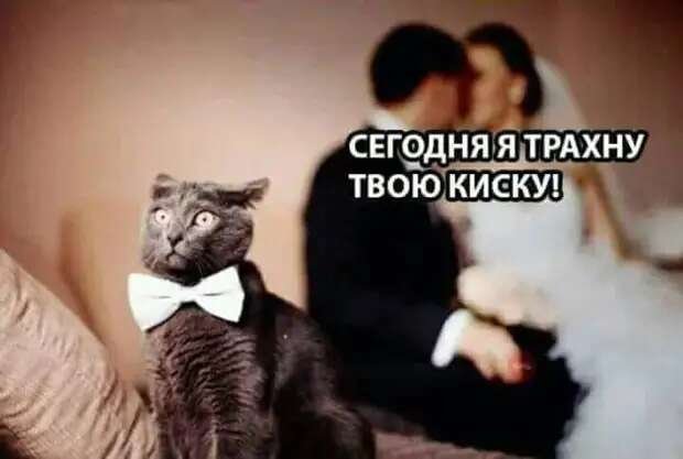 529568d449ac57f98e8bf7a26338e7ceeb439523.jpeg