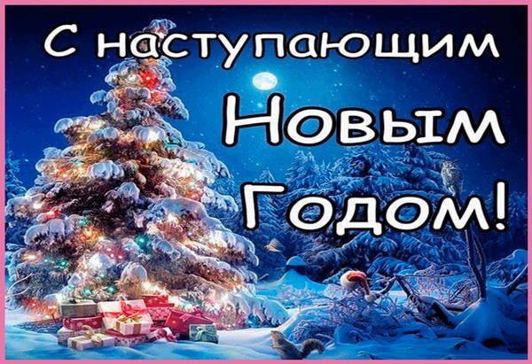 pozhelaniya-kartinki-nastupayushim-5F142.jpg