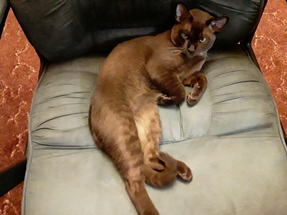 20211114_044604.jpg