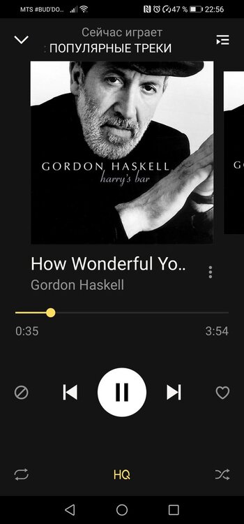 Screenshot_20200522_225618_ru.yandex.music.jpg