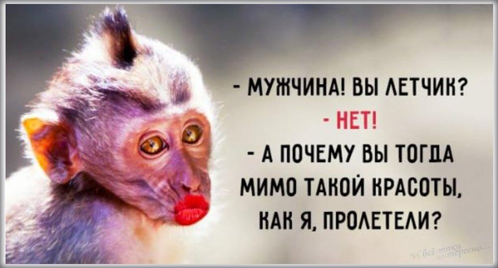 anekdot-kartinki-ivseitaki-interesno-8.jpg